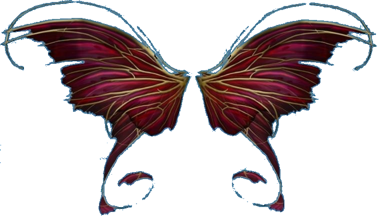 Wings of Butterfly